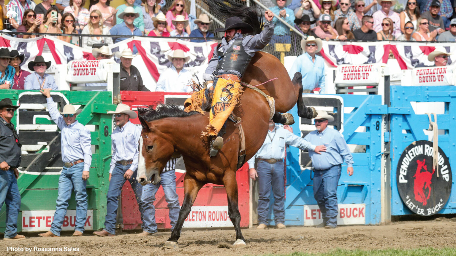 Events In Pendleton 2023 Latest PSN Kaycee Feild Leaves Mark in Pendleton News