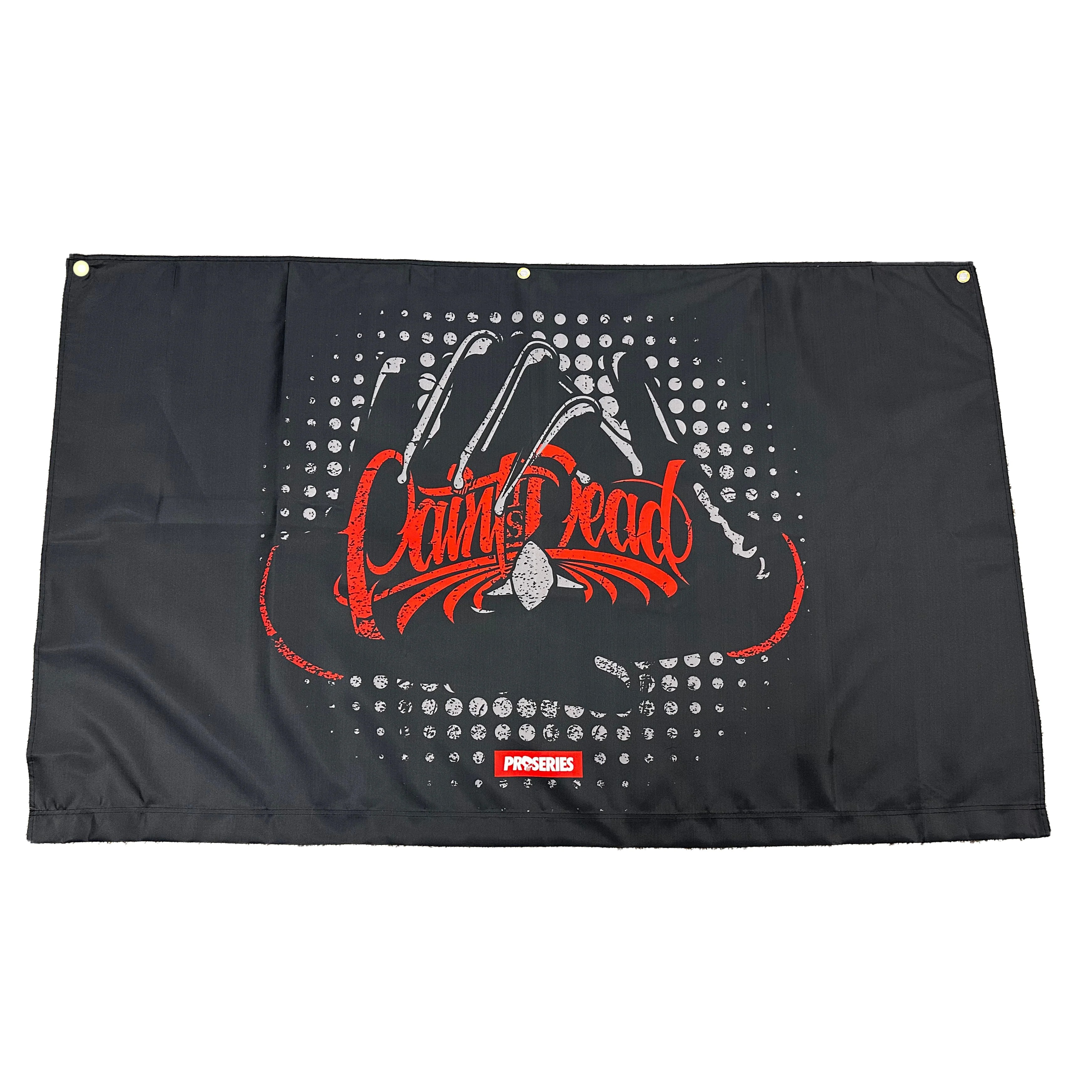 Paint Is Dead/ Proseries Flags Wrap Merch