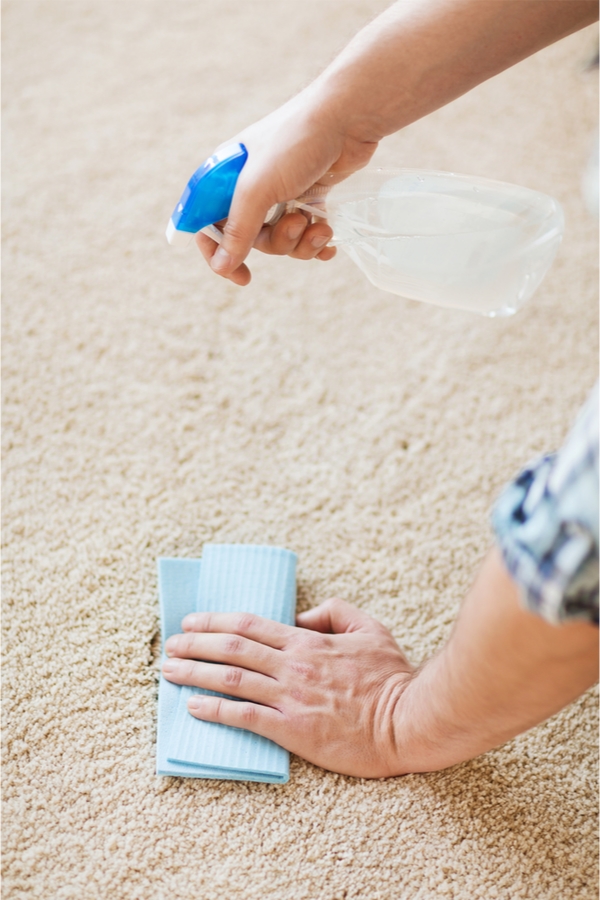 Carpet Cleaning Hacks For Pet Owners Wrapped in Rust