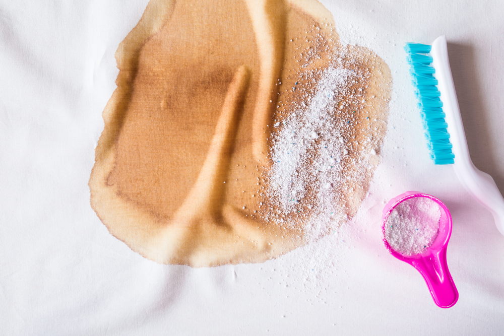 Top Stain Removers for Laundry Which One Is Best for You? Wrapped