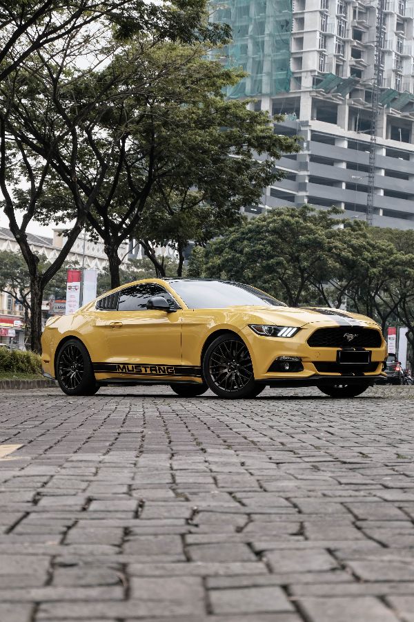 Wrap Station Bespoke PPF & Vinyl Wrap Installer