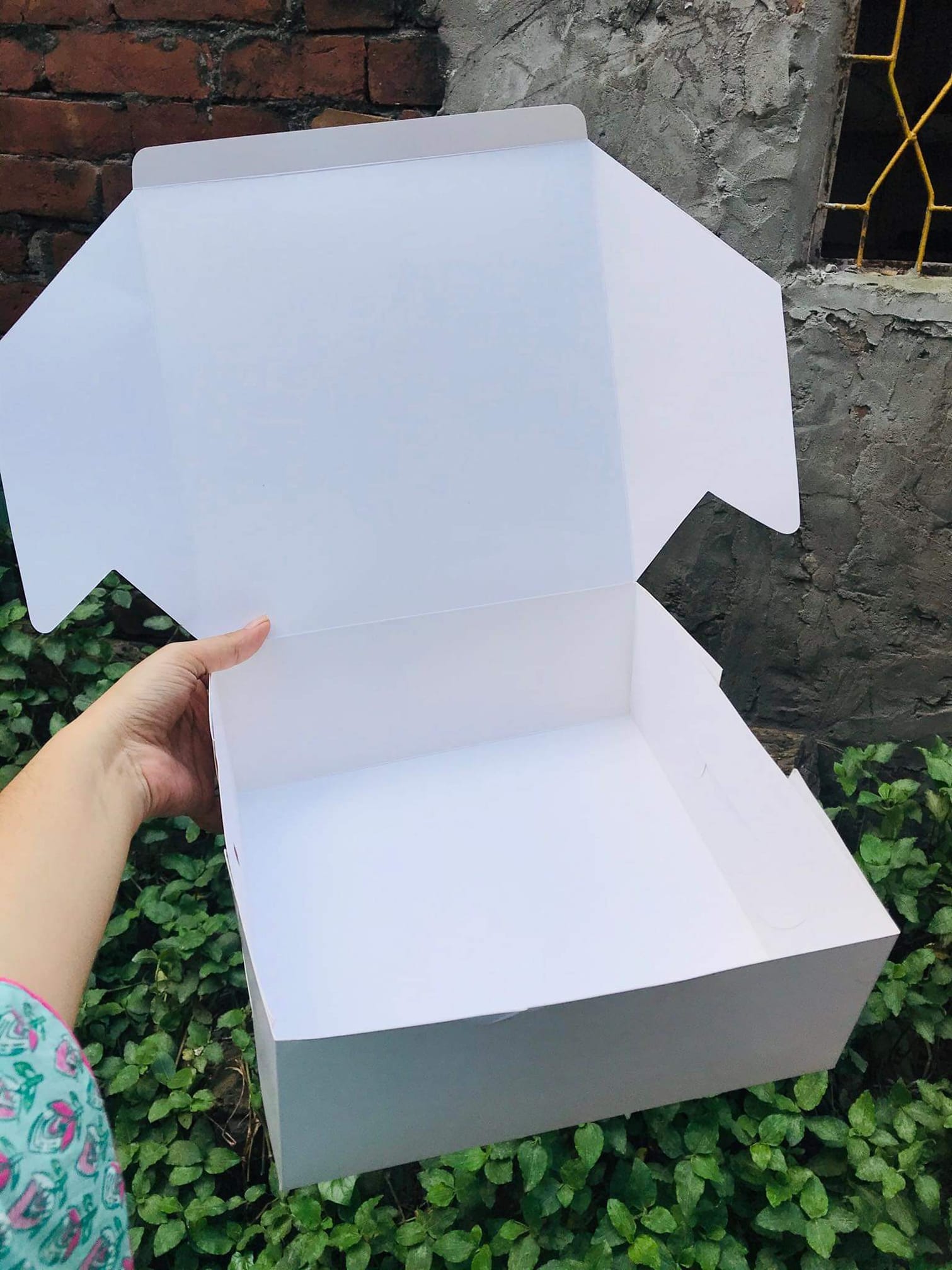 Pound Cake Box Price in Bangladesh Shop Online WrapUp BD