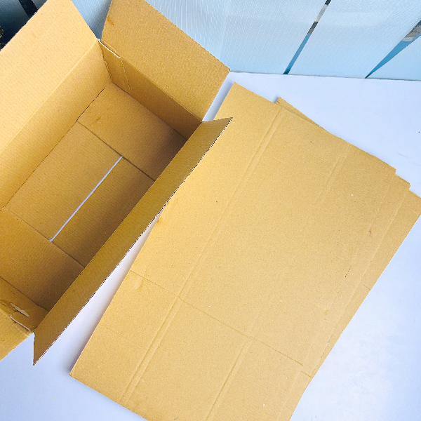Organizational Carton Box Price in BD Carton box Lowest price Wrap