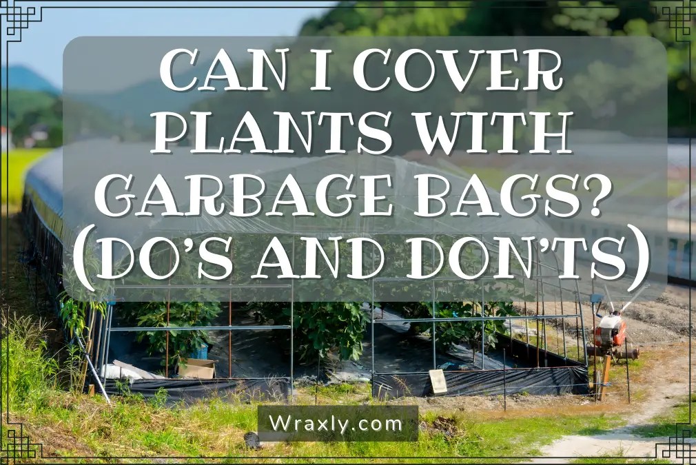 Can I Cover Plants with Garbage Bags? (Do's and Don'ts) Wraxly
