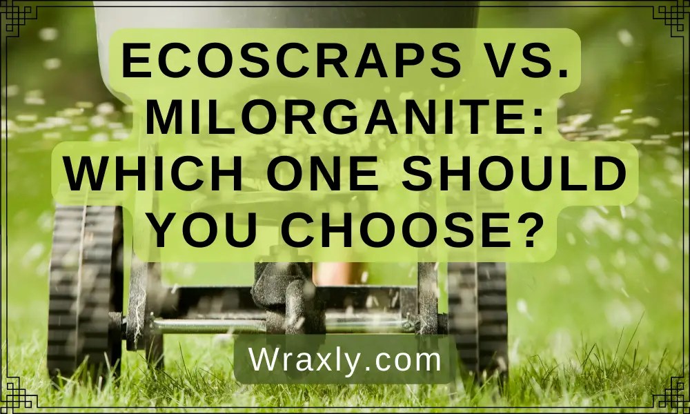 Ecoscraps vs. Which One Should You Choose? Wraxly