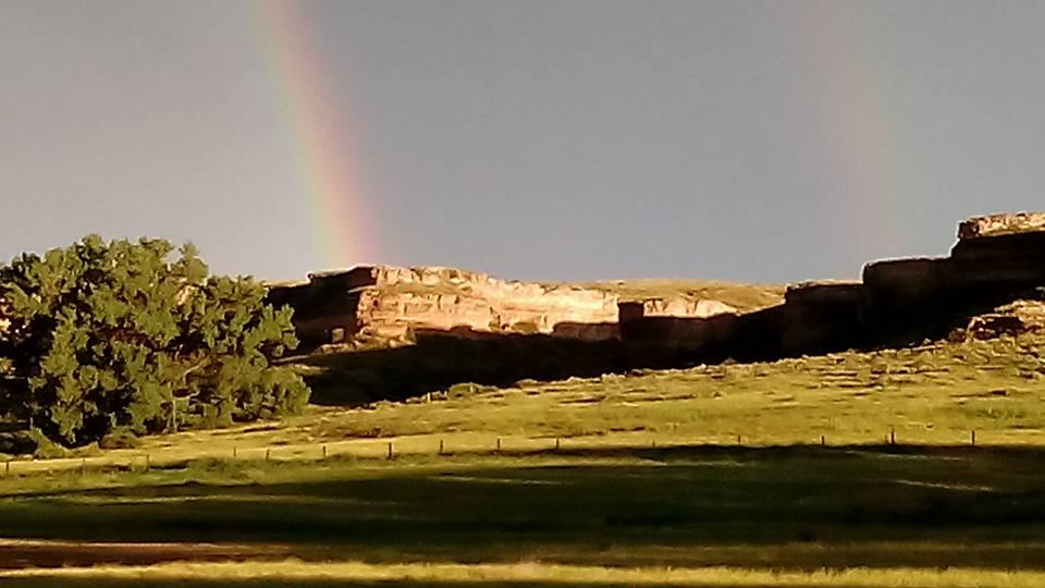 Wray Insurance Agency Auto Home Farm & Business (970) 3324475