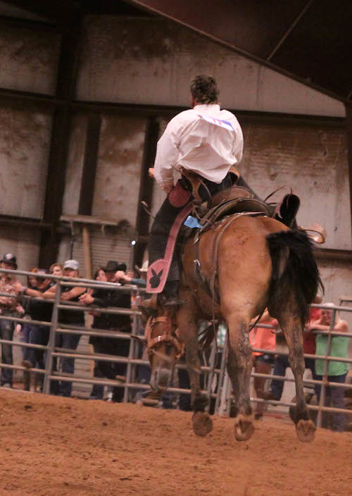 2014 Championship Ranch Bronc Riding Photo Gallery
