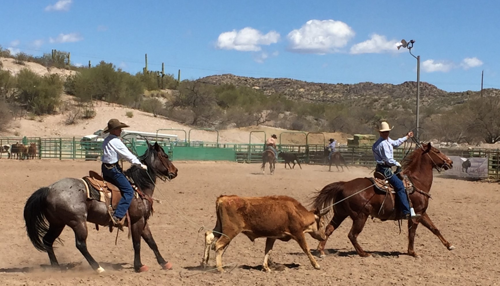 2018 Lowell Goemmer Memorial Ranch Rodeo Results Working Ranch