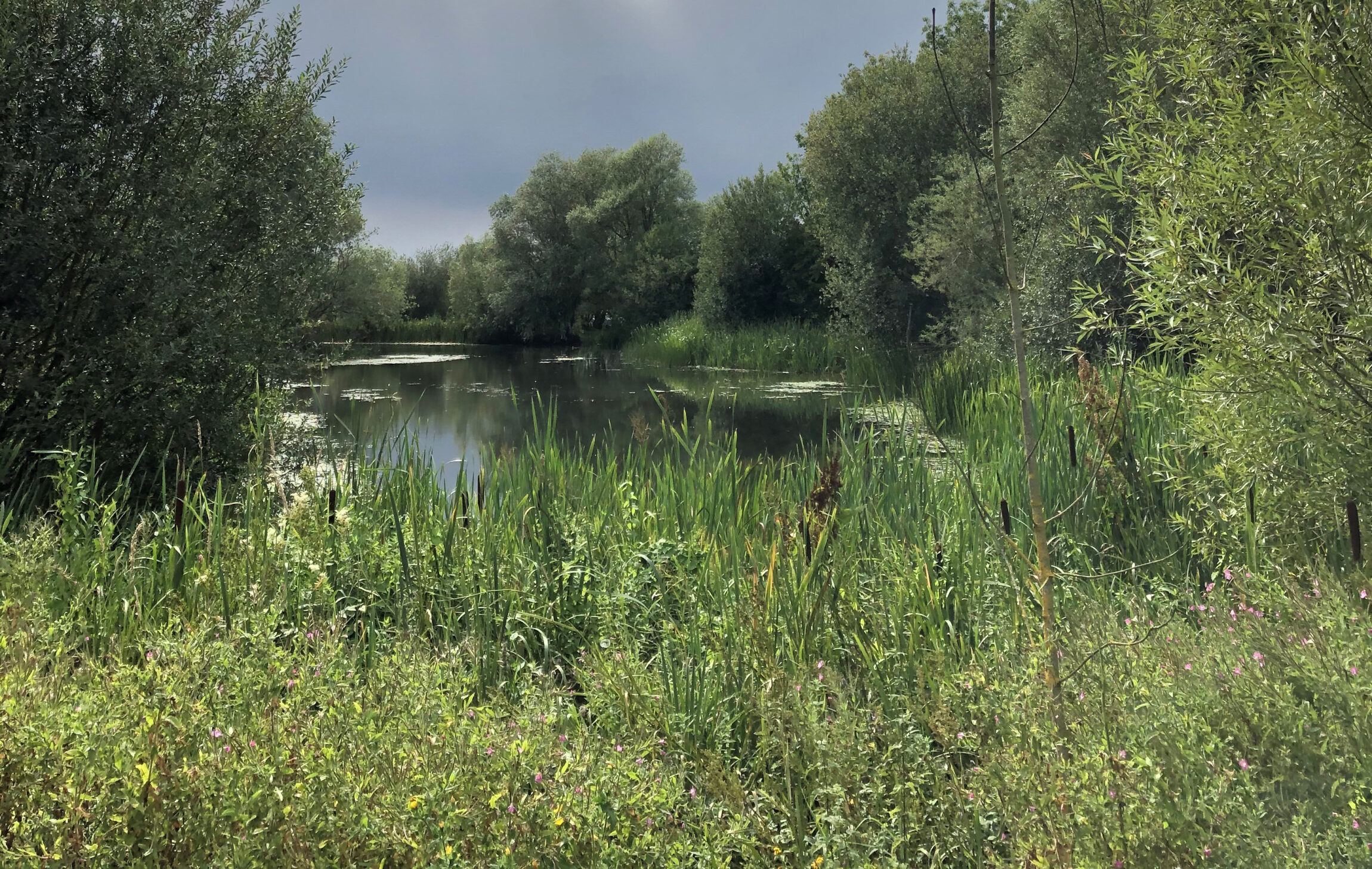 Water Exemplar Communities Water Resources East