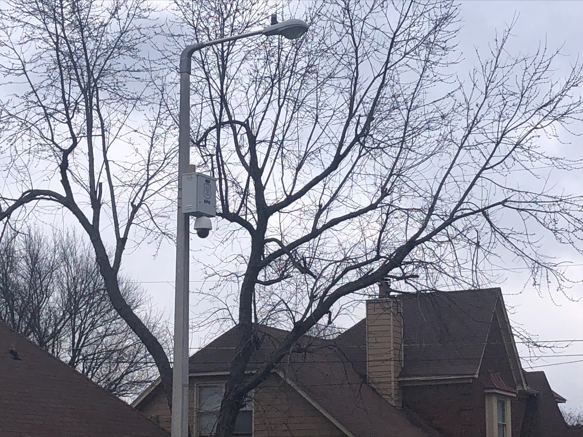 5 Memphis officers fired after death of man (Update Officers charged