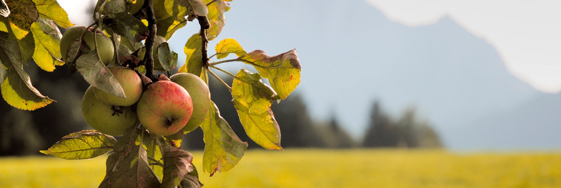 Home WrightBeard Funeral Home serving Cortland, New York