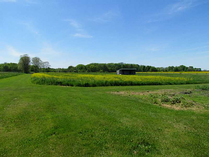 Bainbridge, Indiana Home 10+ Acres For Sale!! Wright Realtors