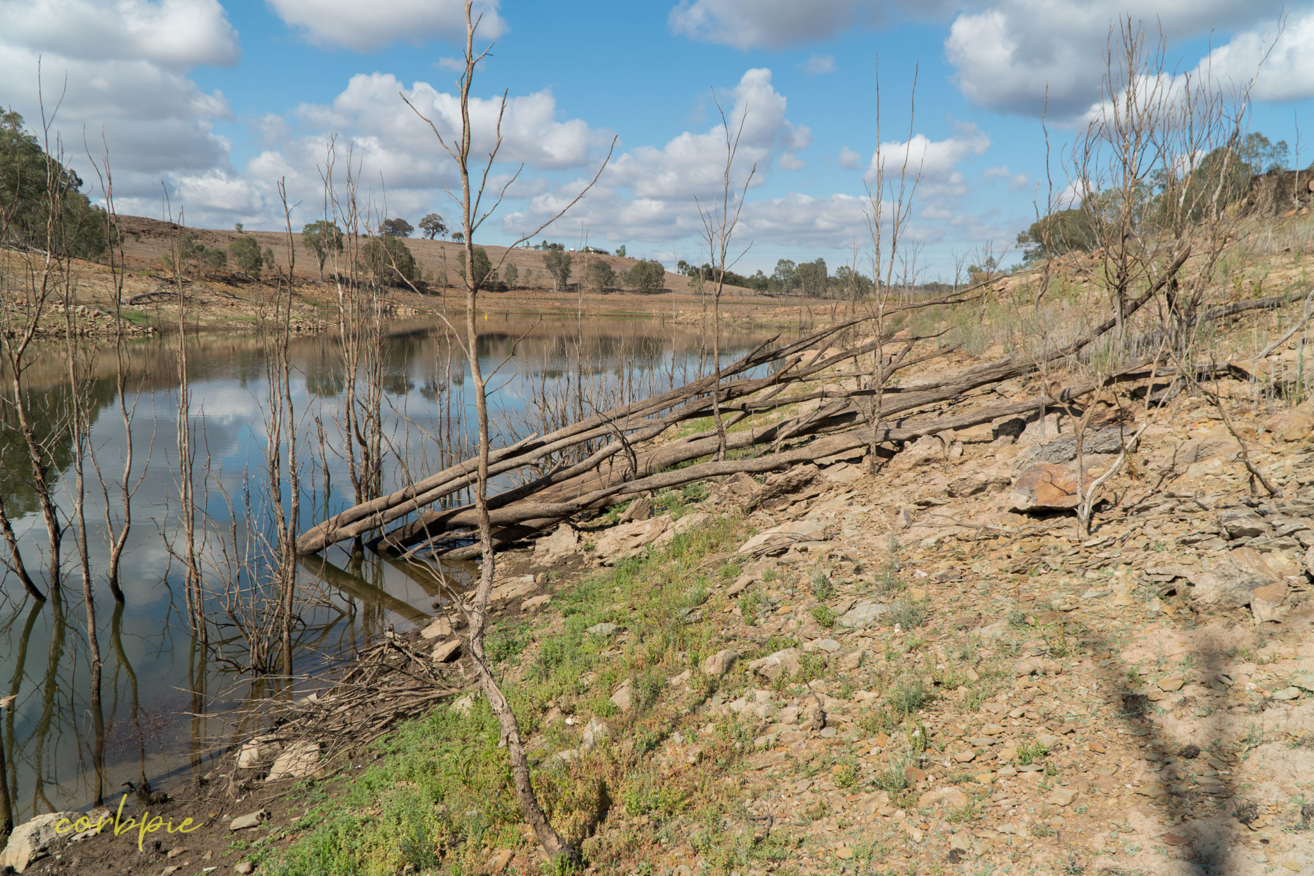 Lake Eppalock dropping water level