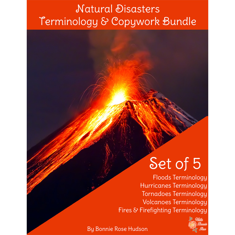 Disaster Recovery Glossary of Terms