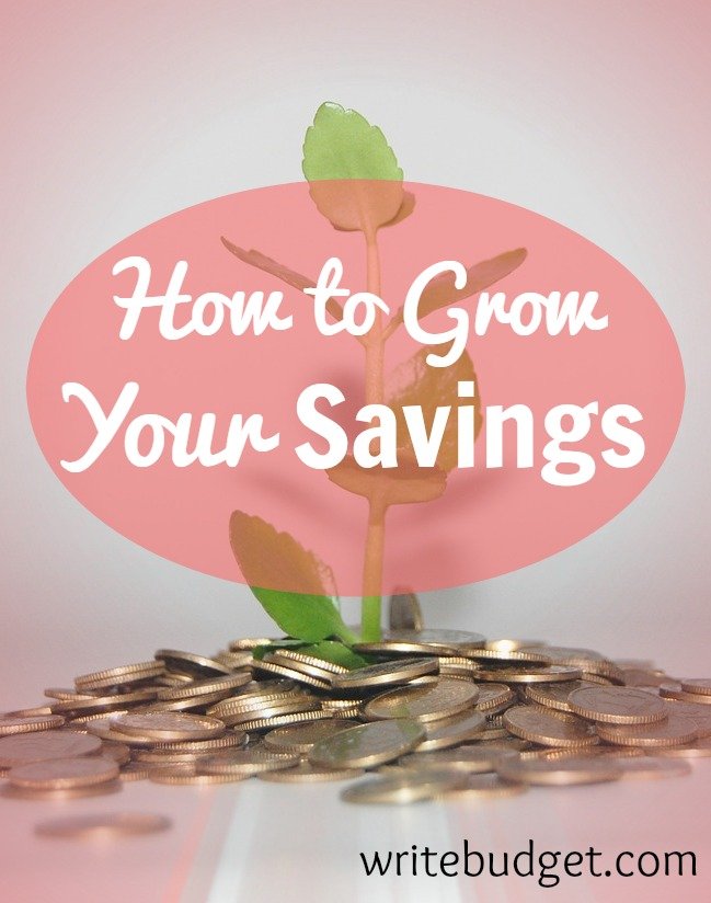 How to Grow Your Savings The Write Budget
