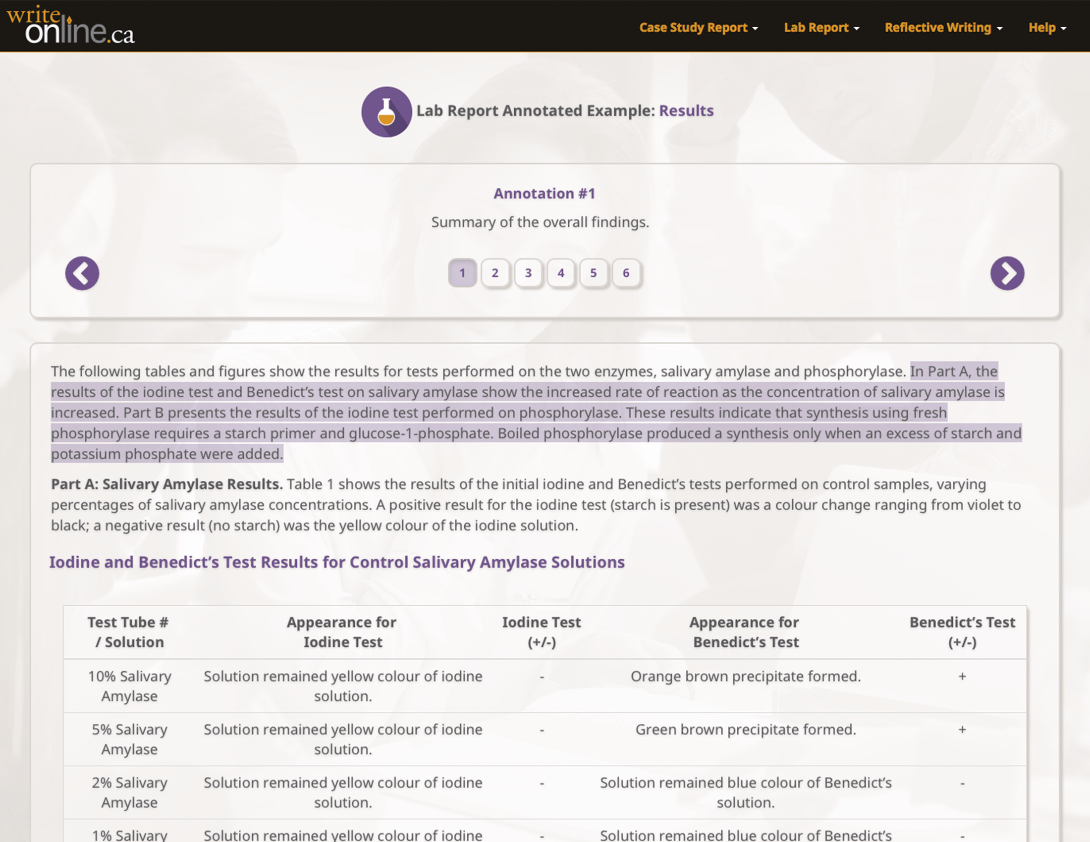 Write Online Lab Report Writing Guide Parts of a Lab Report