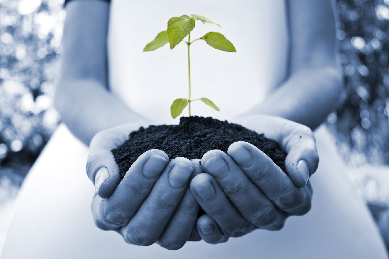 How do you see Development? Writer's Craft For all Aspiring Writers