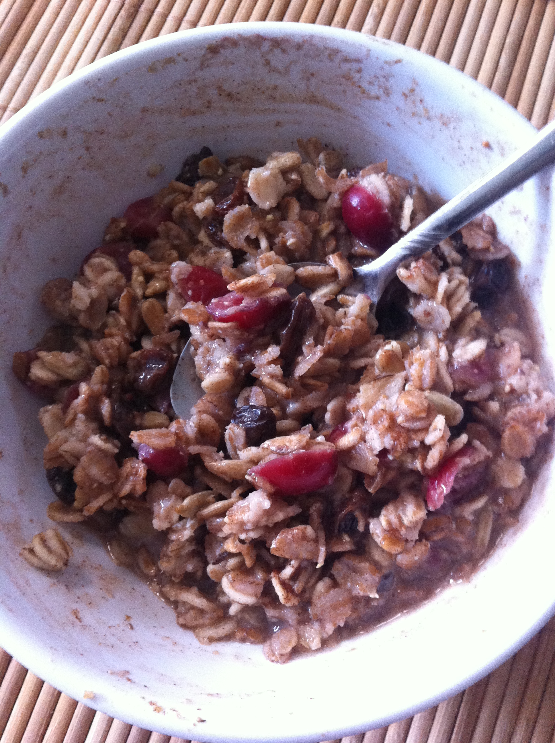 Cranberry and Raisin Spice Oatmeal Bakin' Bitz