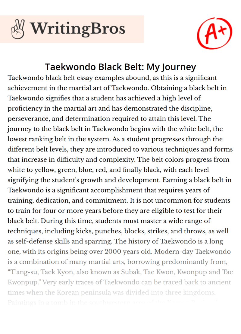 Taekwondo Black Belt My Journey [Free Essay Sample], 1032 words