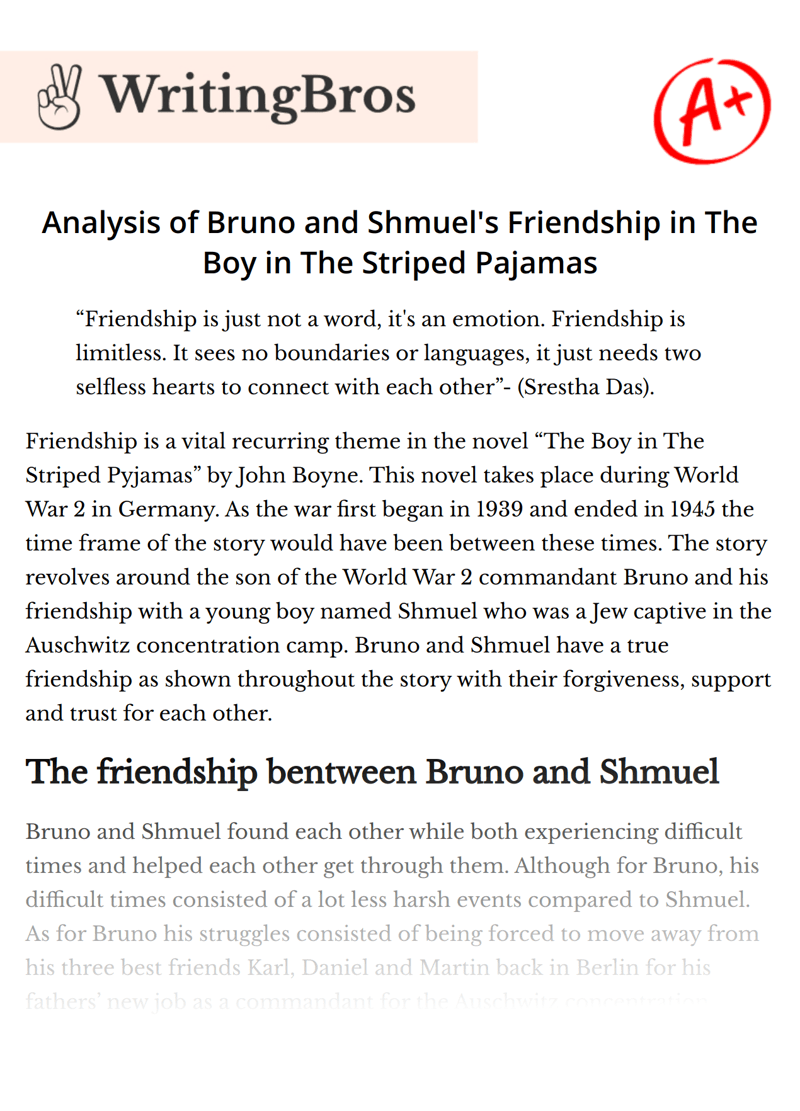 Analysis of Bruno and Shmuel's Friendship in The Boy in The Striped