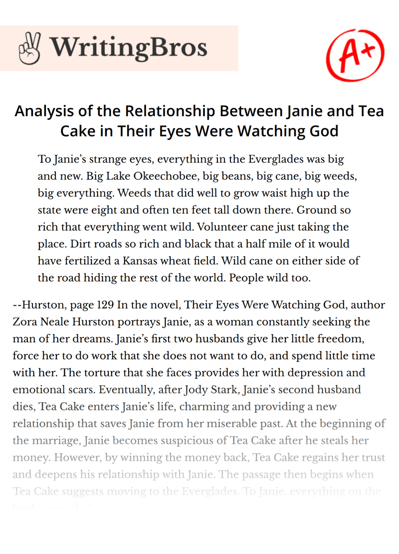 Analysis of the Relationship Between Janie and Tea Cake in Their Eyes