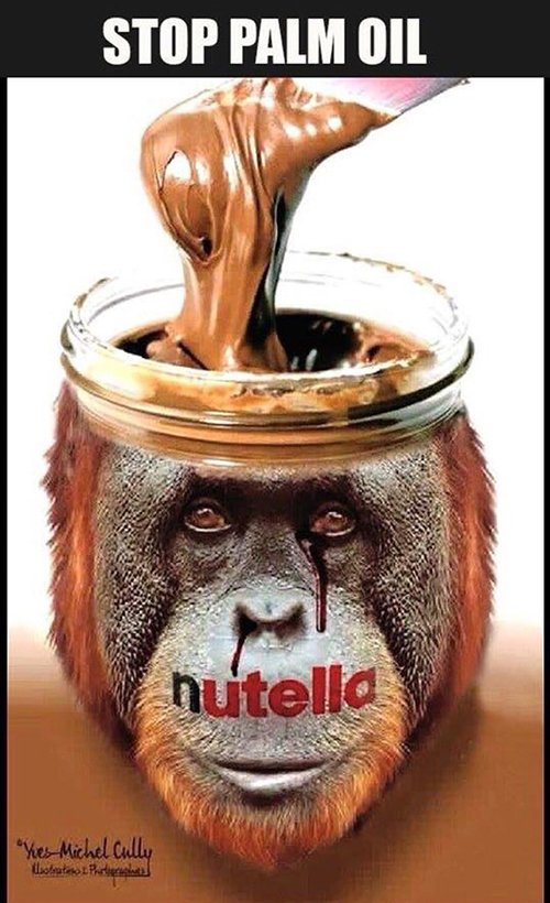 Palm oil used in chocolate spreads, cooking oil may fuel cancer spread