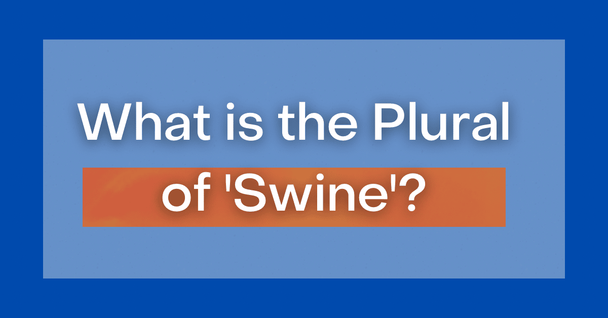 What is the Plural of 'Swine'?