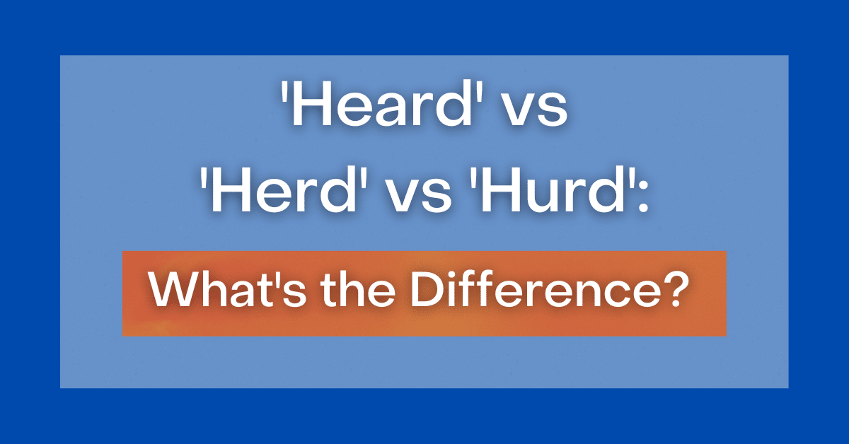 ‘Heard’ vs ‘Herd’ vs ‘Hurd’ What’s the Difference?