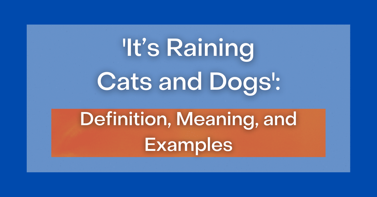 ‘It’s Raining Cats and Dogs’ Definition, Meaning and Examples