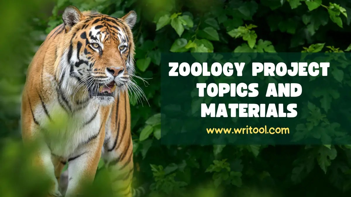 100+ Best Zoology Research Project Topics And Materials