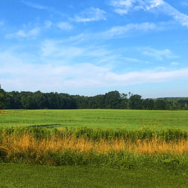 Western Reserve Land Conservancy earns national recognition; positions