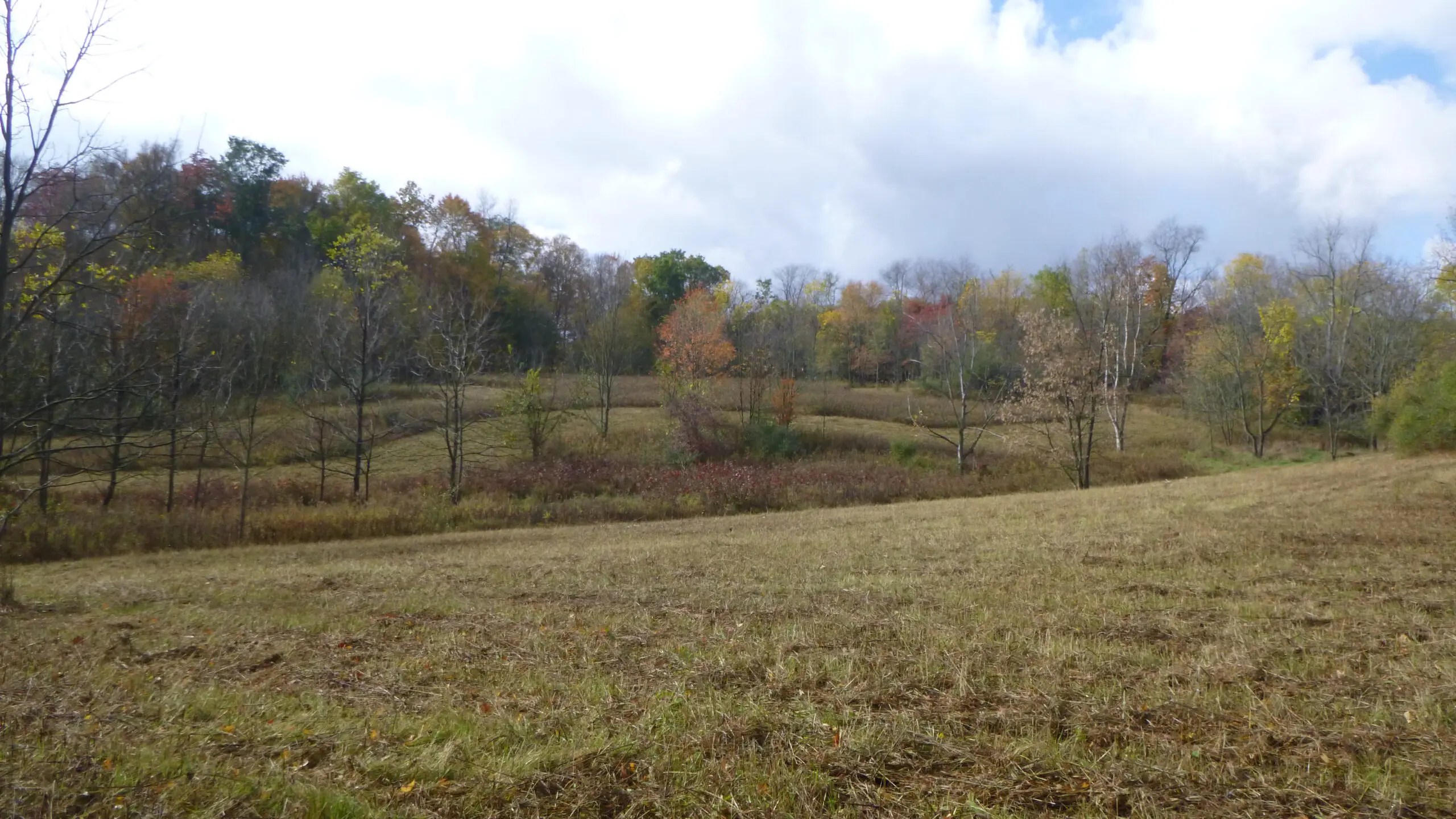 Land Conservancy permanently conserves second Richland County property