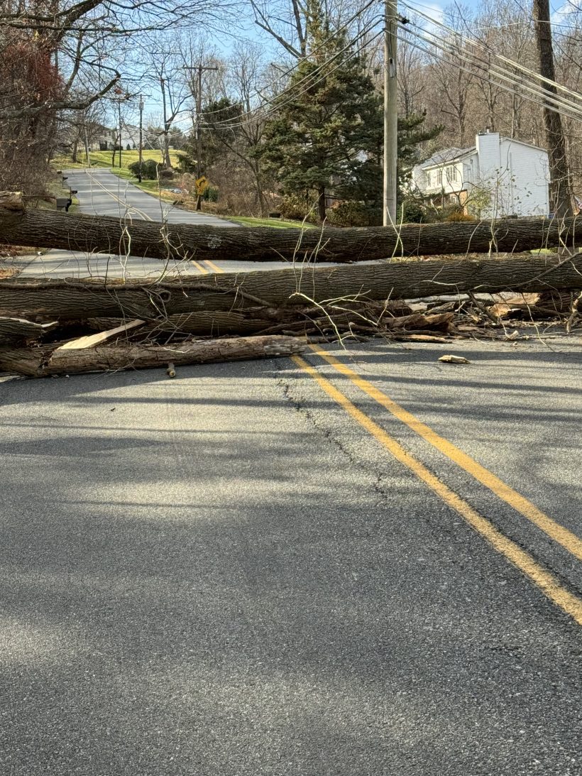 Tree falls on power lines causing large outage in parts of Warren
