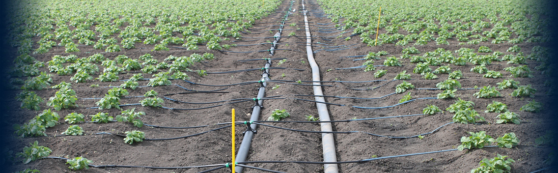 Irrigation WrootWater Limited