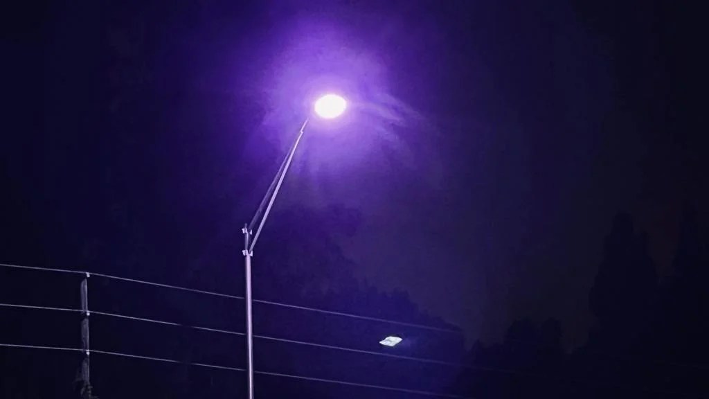 Why Some Boston Area Streetlights Are Purple