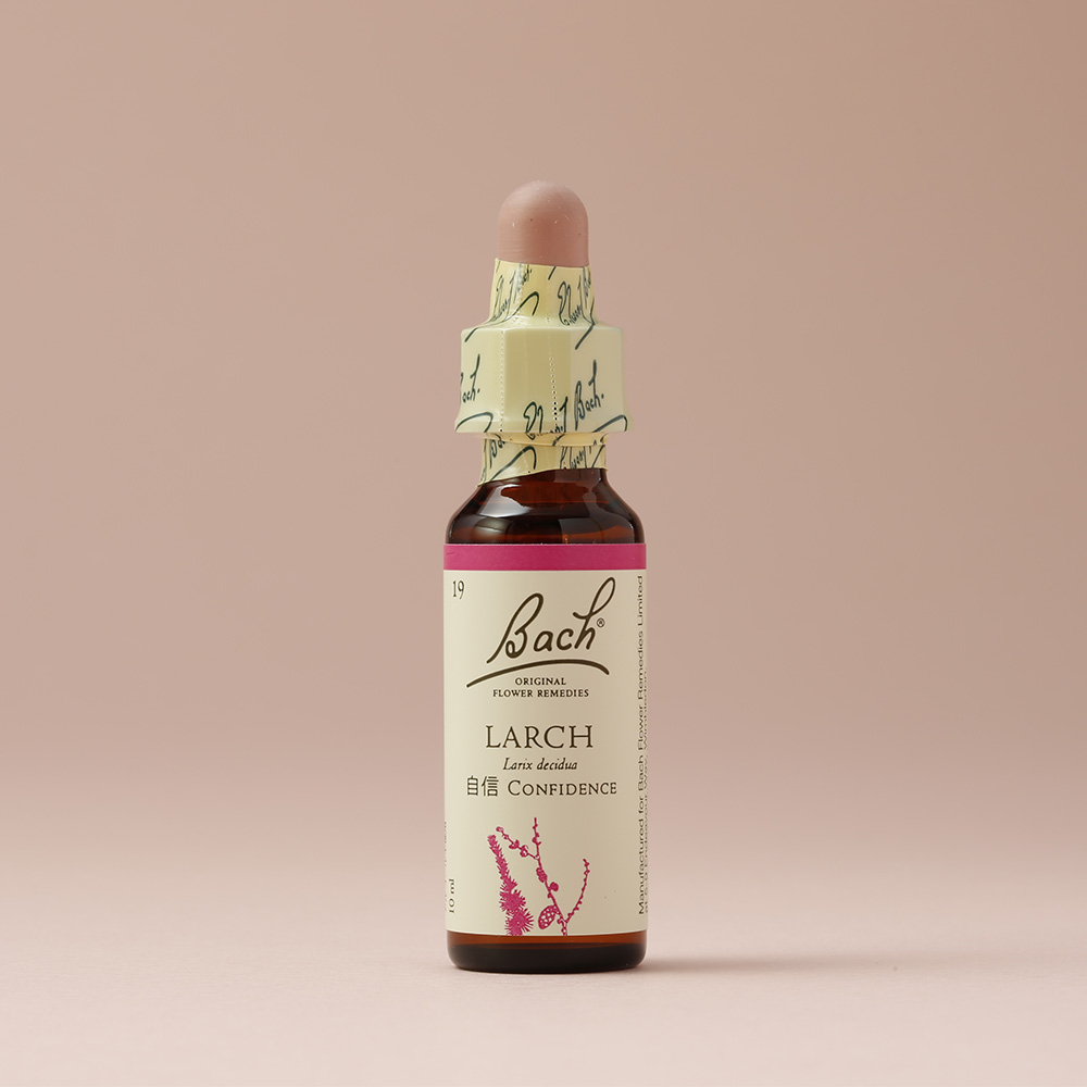 バッチフラワーレメディ ラーチ Bach Flower remedy Larch