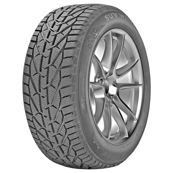 Taurus Winter Tire rating, overview, videos, reviews, available sizes
