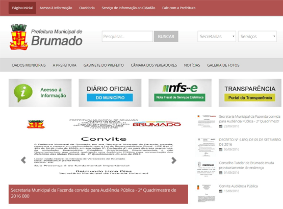 WSouza Sistemas Desenvolvimento e consultoria