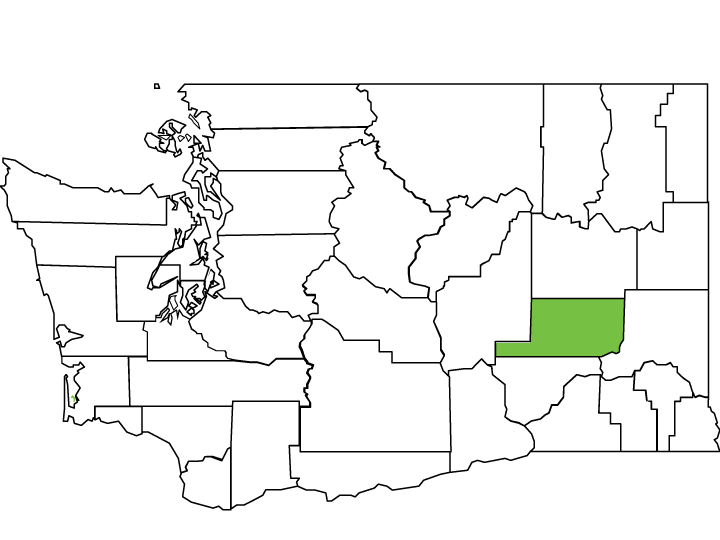 Adams County Spotlight Washington State Association of Counties
