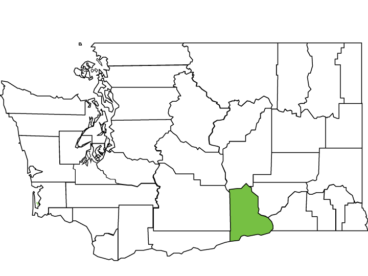 Benton County Spotlight Washington State Association of Counties