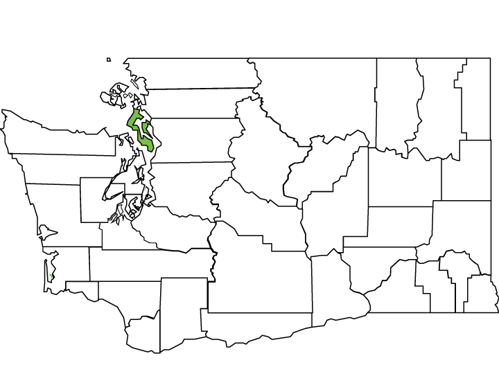 Island County Spotlight Washington State Association of Counties