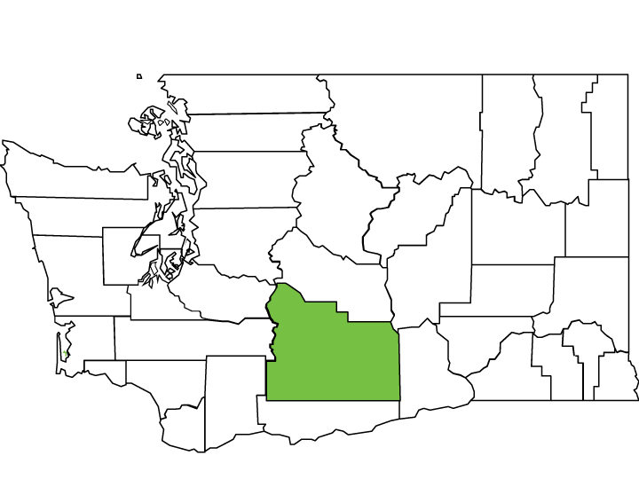 Yakima County Spotlight Washington State Association of Counties