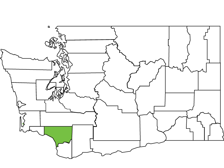 Cowlitz County Spotlight Washington State Association of Counties