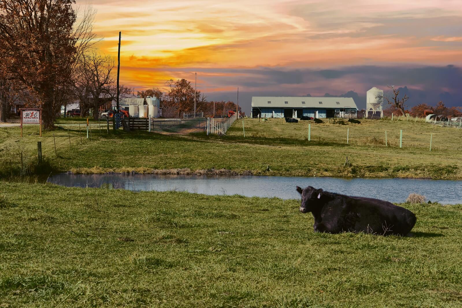 Gallery Wall Street Cattle Company Lebanon, Missouri