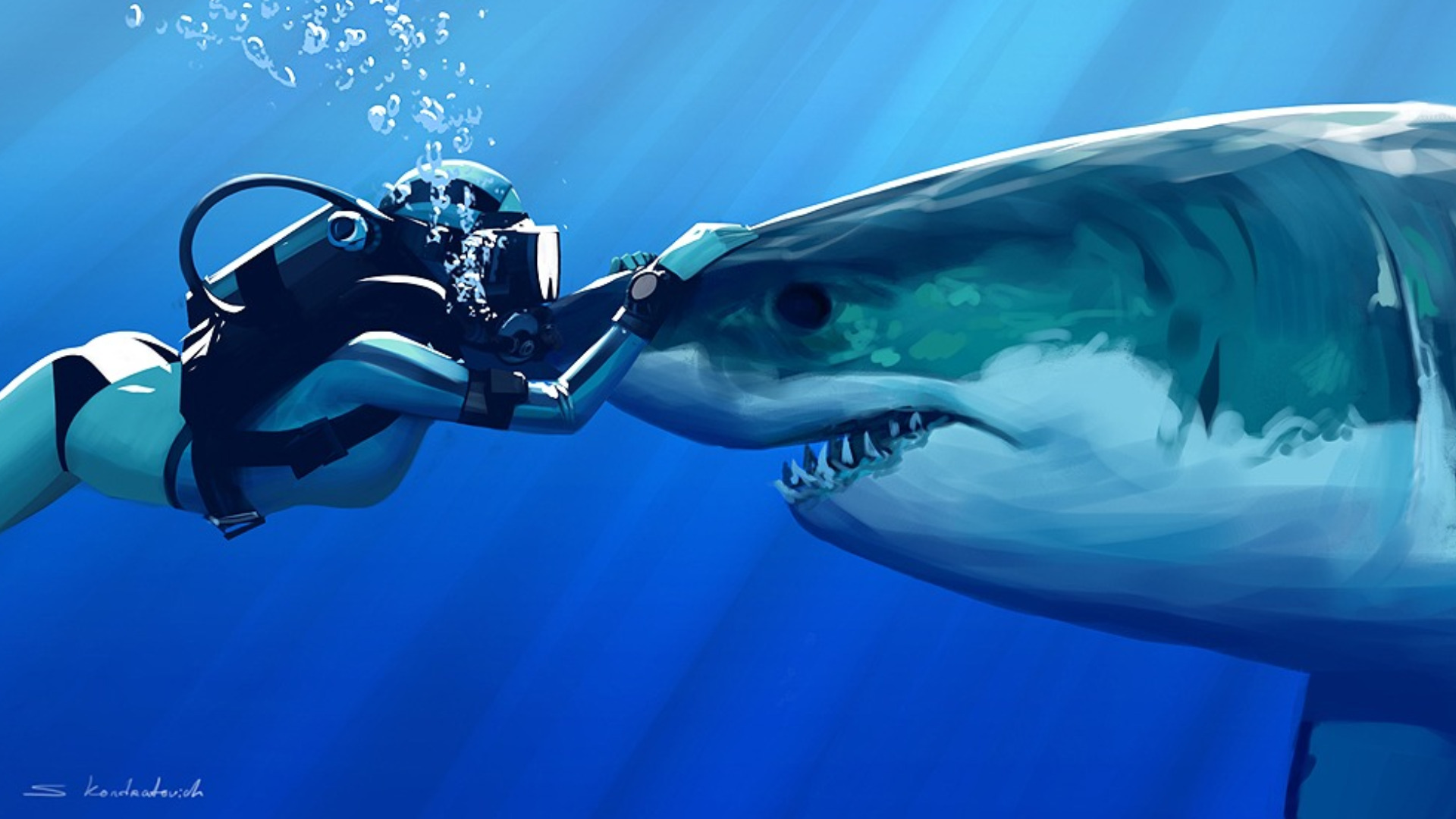 Shark With Diver HD Wallpaper Wide Screen Wallpaper 1080p,2K,4K