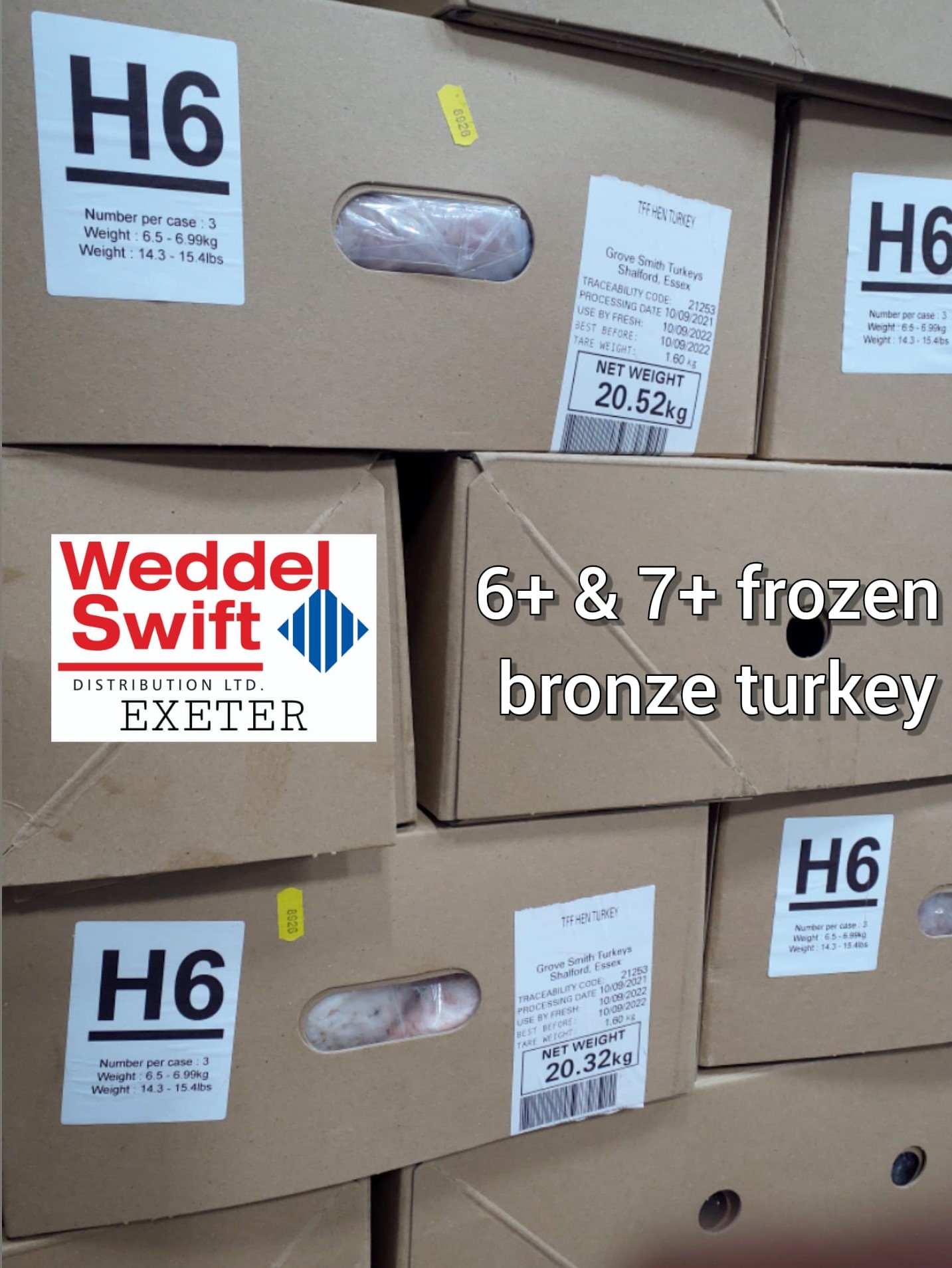 Exeter Special Offers Weddel Swift Distribution