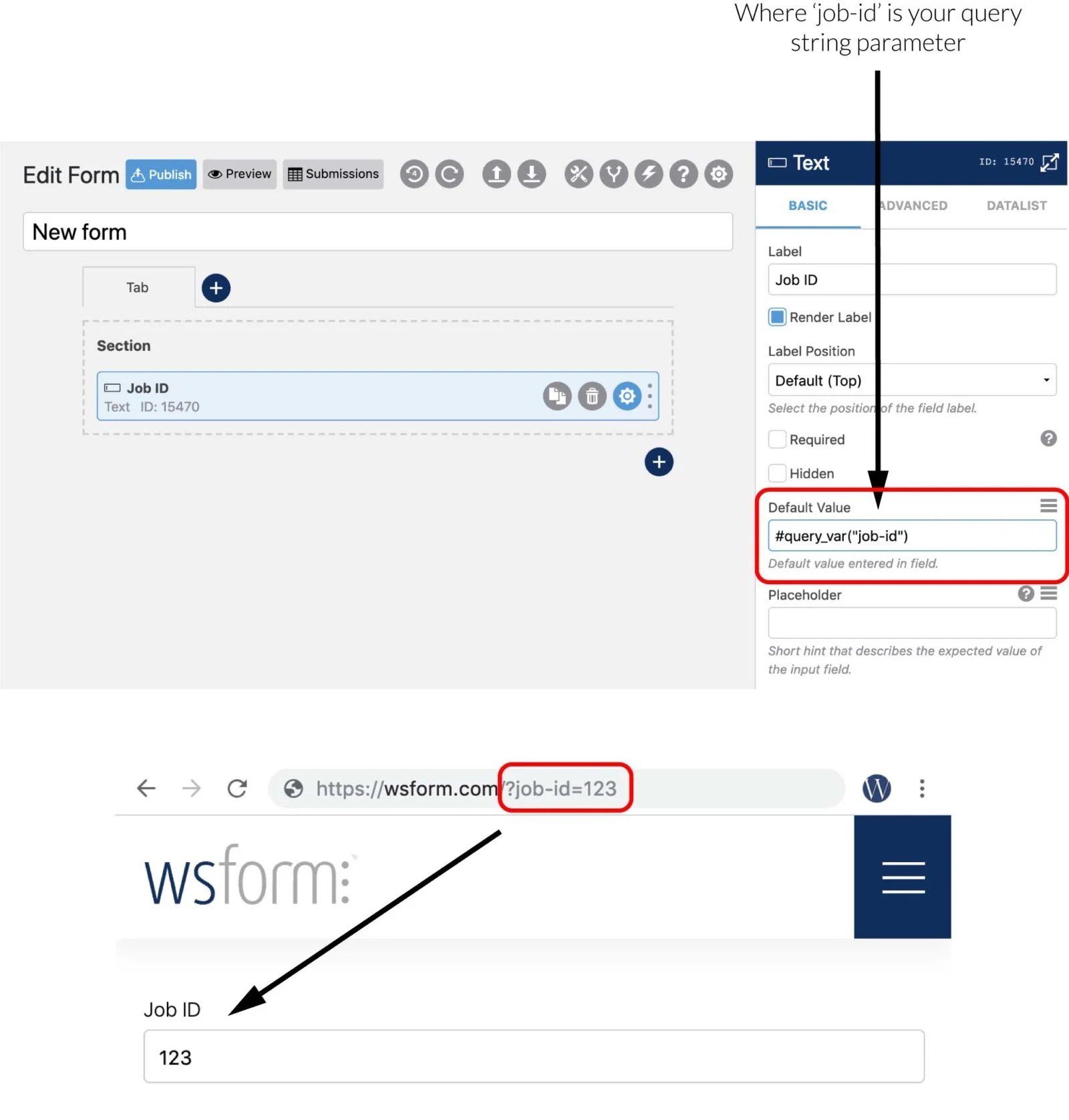 Populate a Field With Query String Data WS Form