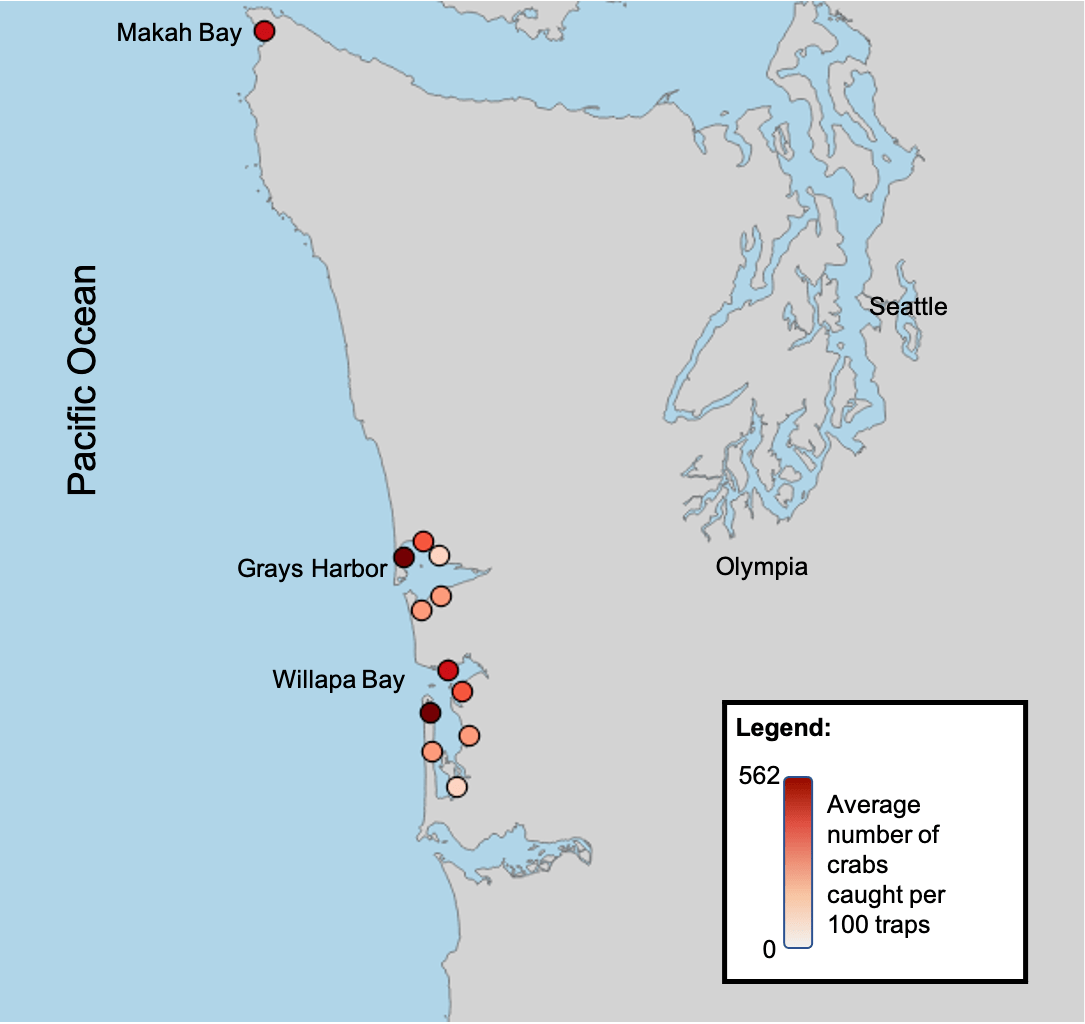 2020 Coastal Green Crab Update Washington Sea Grant