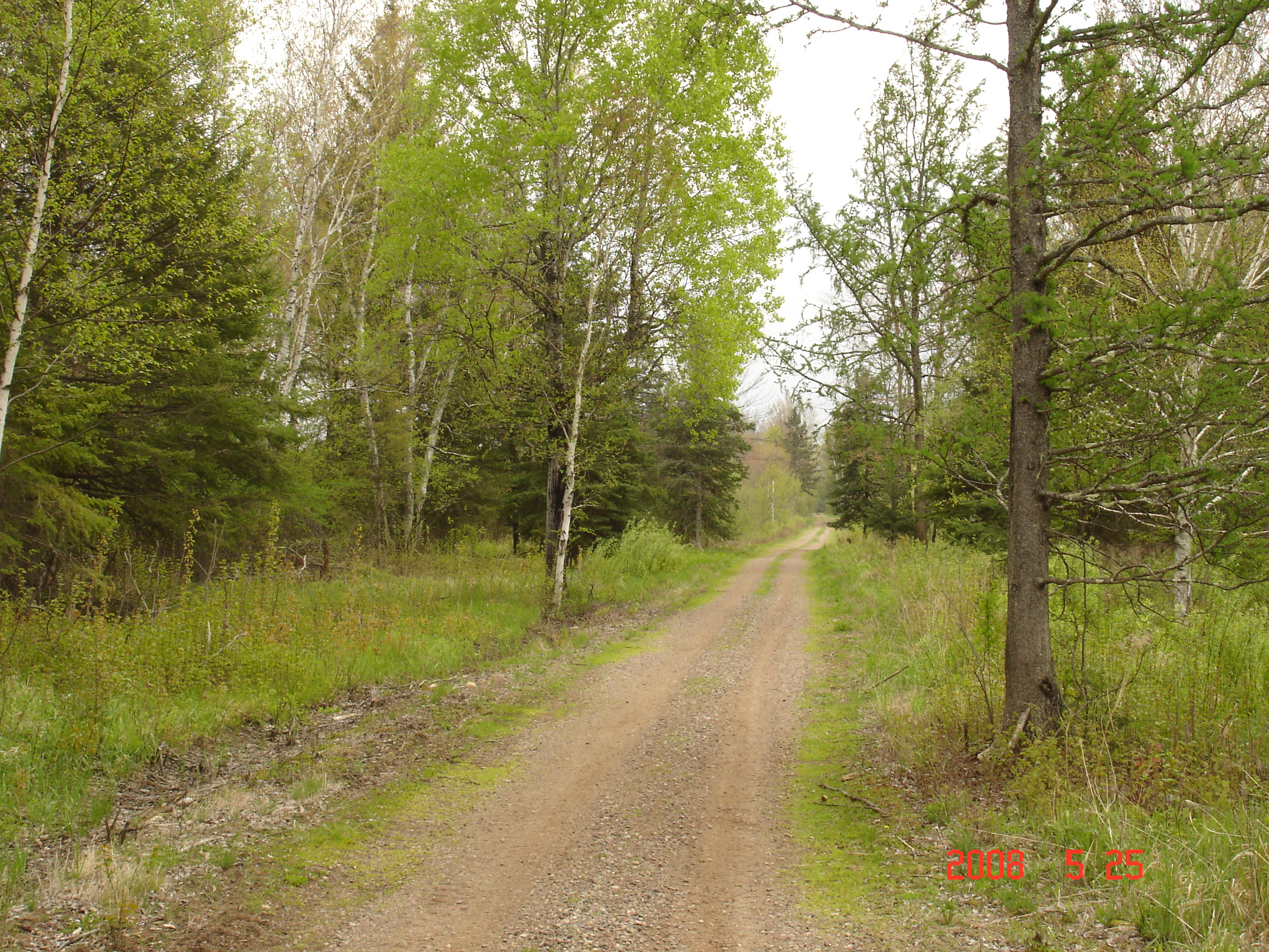 Buy 717 Acres of WI Hunting Land and Hunt on 1300 acres
