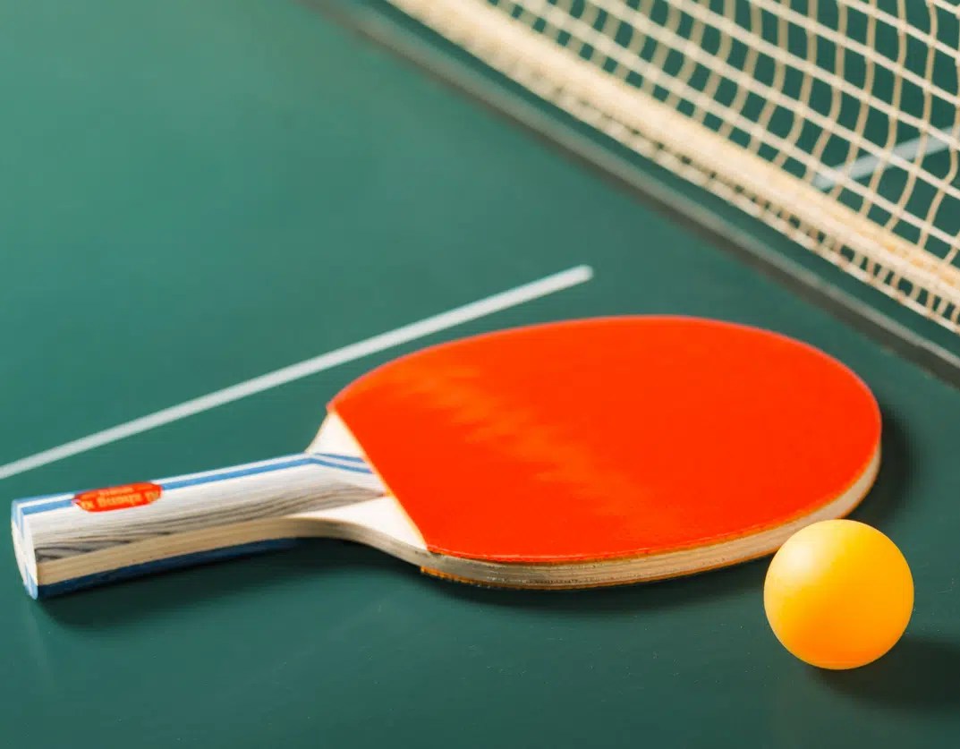 Table Tennis World Transplant Games Federation